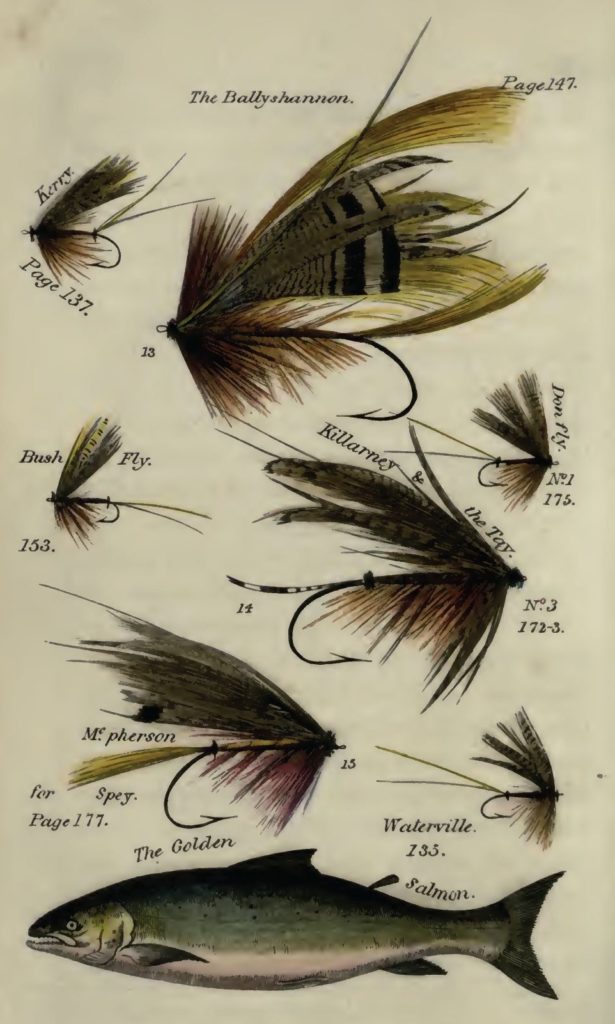 Fly Tying Fundamentals – Fly Fishing Science