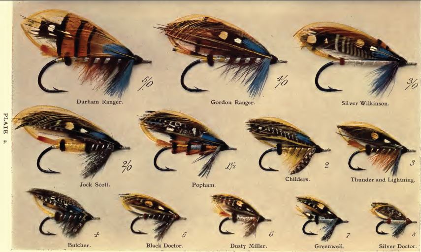 Drawing and painting fishing flies – Fly Fishing Science