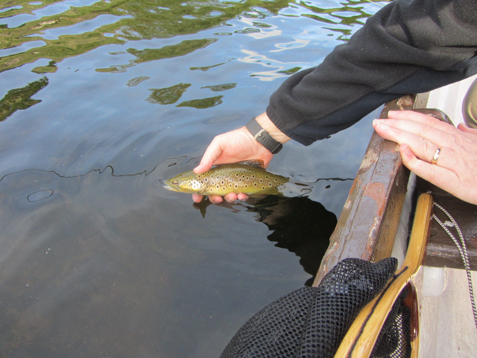 catch-release-fisheries-failing-to-promote-best-practice-fly